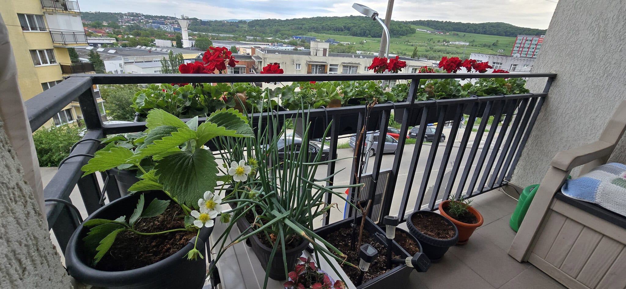 Plante în ghivece pe balcon cu vedere spre oraș și peisaj natural.